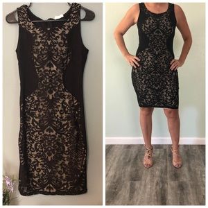 Style Rack Black and Tan Dress